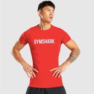 COPY - Gymshark Apollo T-shirt